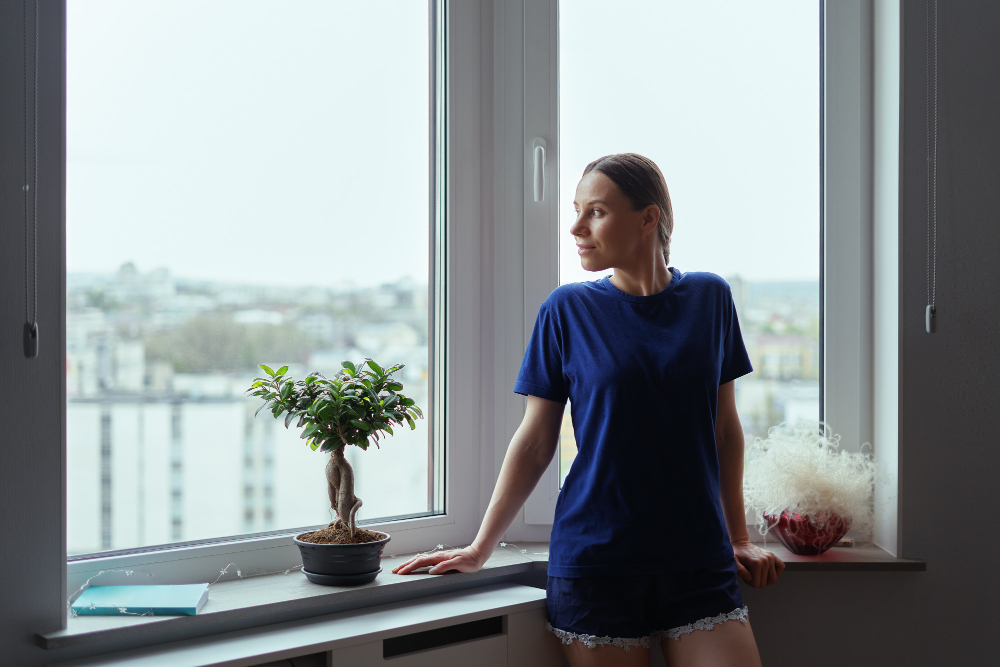 Biloxi Window Styles